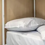Heart Of The Hostal